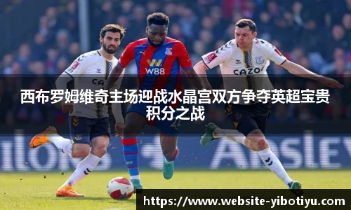 西布罗姆维奇主场迎战水晶宫双方争夺英超宝贵积分之战